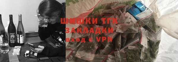 гашик Осинники