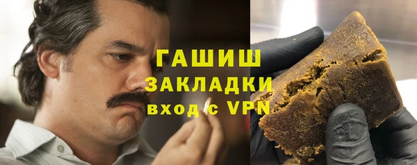 гидра Болотное