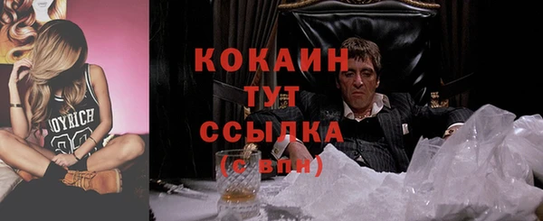 spice Пересвет