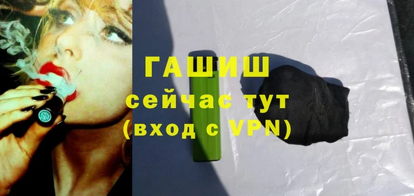 гашик Осинники