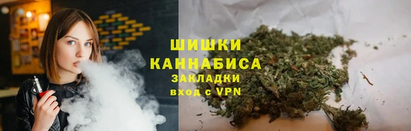 гидра Болотное