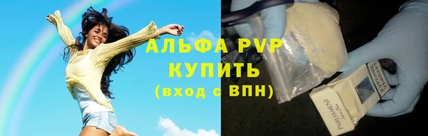крисы Осташков