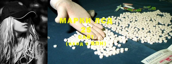 гидра Болотное