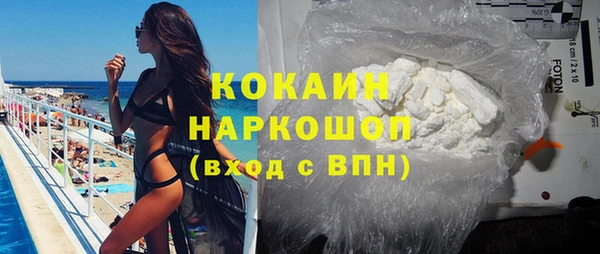 гашик Осинники