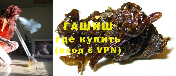 гидра Переславль-Залесский