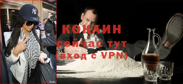 гашик Осинники