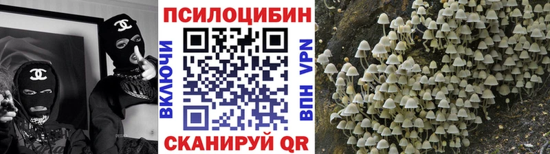 hydra Заполярный Галлюциногенные грибы ЛСД